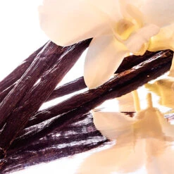 Guerlain Shalimar -Mejor Cosméticos Tienda 131307 6