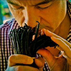 Guerlain Shalimar -Mejor Cosméticos Tienda 131307 7