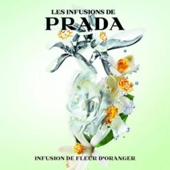 Prada Infusion Fleur D'Oranger -Mejor Cosméticos Tienda 154647 6