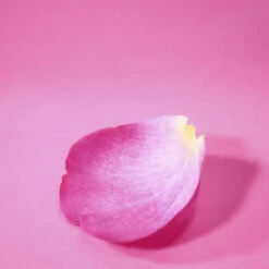 Escada CANDY LOVE "Edición Limitada" -Mejor Cosméticos Tienda 192799 4