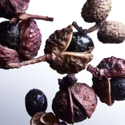 Davidoff COOL WATER STREET FIGHTER "CHAMPION EDITION" 11 Davidoff COOL WATER STREET FIGHTER "CHAMPION EDITION" -Mejor Cosméticos Tienda 196524 5