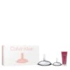 Calvin Klein EUPHORIA Estuche -Mejor Cosméticos Tienda 210577 2