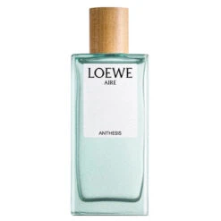 Loewe AIRE ANTHESIS